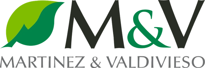 Martínez y Valdivieso